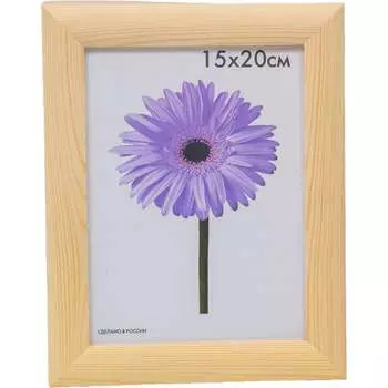 Некрашеная деревянная рамка ООО Изометрика Berta 0006-6-0000