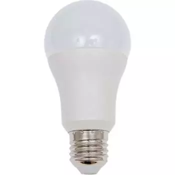 Низковольтная светодиодная лампа Jazzway PLED-A60 MO 5050655