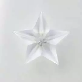 Ночник RisaLux