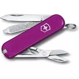 Нож-брелок Victorinox Classic SD Colors Tasty Grape 0.6223.52G