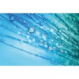 Обои Антимаркер