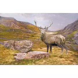 Обои Антимаркер