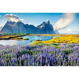 Обои Антимаркер