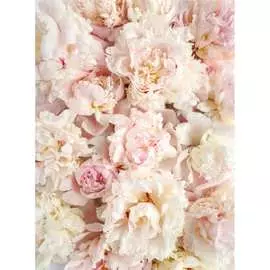 Обои Антимаркер