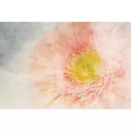 Обои Антимаркер