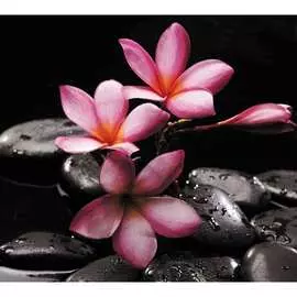 Обои Антимаркер