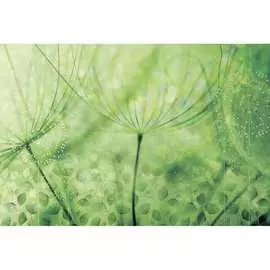 Обои Антимаркер