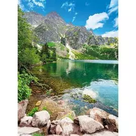 Обои Антимаркер