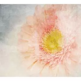 Обои Антимаркер