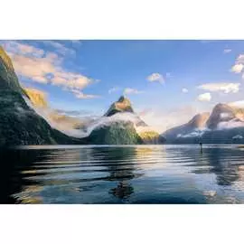 Обои Антимаркер