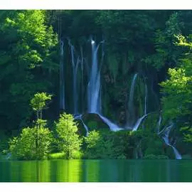 Обои Антимаркер