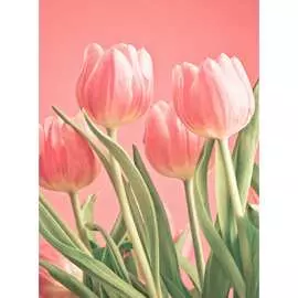 Обои Антимаркер