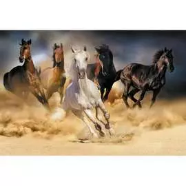 Обои Антимаркер