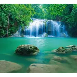 Обои Антимаркер