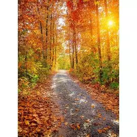 Обои Антимаркер