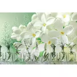 Обои Антимаркер