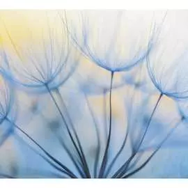 Обои Антимаркер