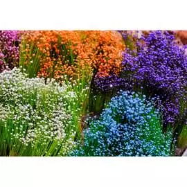 Обои Антимаркер