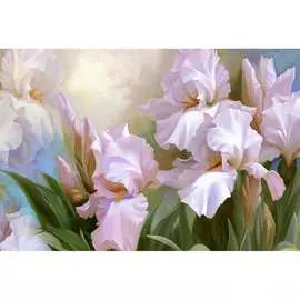 Обои Антимаркер