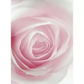 Обои Антимаркер