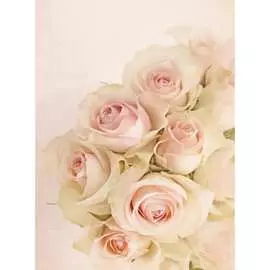 Обои Антимаркер