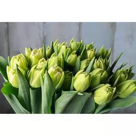 Обои Антимаркер