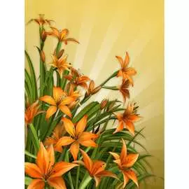 Обои Антимаркер