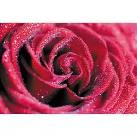 Обои Антимаркер