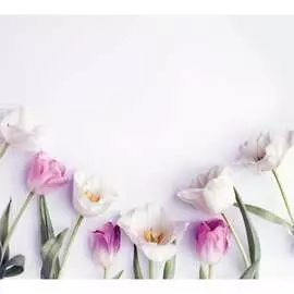 Обои Антимаркер