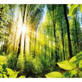 Обои Антимаркер