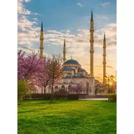 Обои Антимаркер