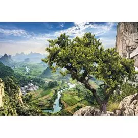 Обои Антимаркер