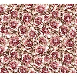 Обои Антимаркер