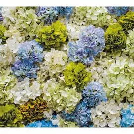 Обои Антимаркер