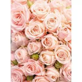 Обои Антимаркер