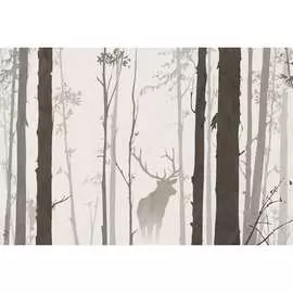 Обои Антимаркер