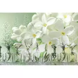 Обои Антимаркер