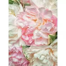 Обои Антимаркер