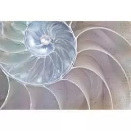 Обои Антимаркер