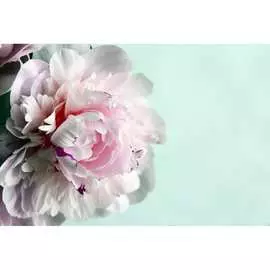 Обои Антимаркер