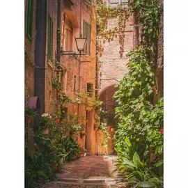 Обои Антимаркер