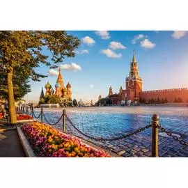 Обои Антимаркер