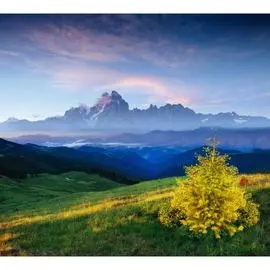 Обои Антимаркер