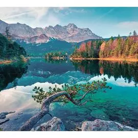 Обои Антимаркер