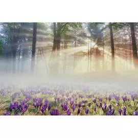 Обои Антимаркер