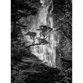 Обои Антимаркер