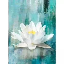 Обои Антимаркер