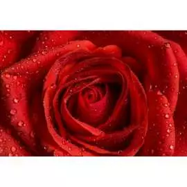 Обои АртПолиграф