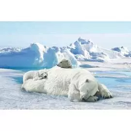 Обои АртПолиграф