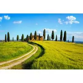 Обои АртПолиграф